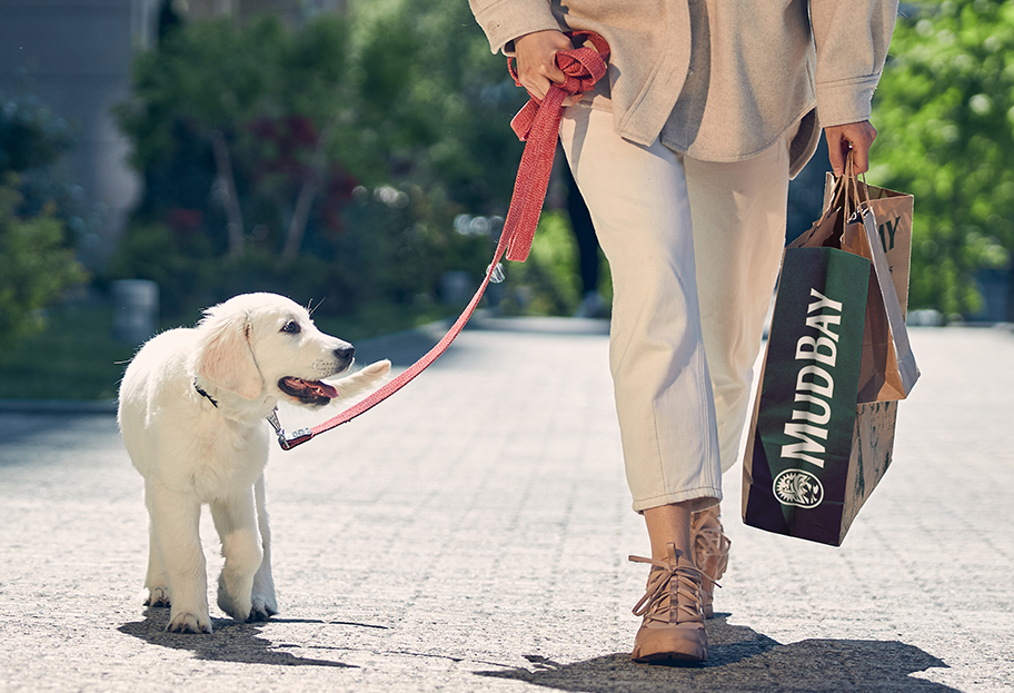 person walking dog on leash with Mud Bay shopping bag